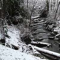 Snow on creek.